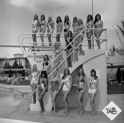 lasvegas:Miss Nevada 1973 contestant pose