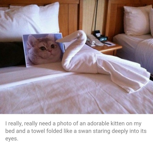 geekgirl101: whattywhatwhat: ithelpstodream: I’m just dying while thinking about a hotel employee 