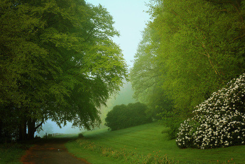 bydbach:lle gorau yn y byd yw neuadd gregynog un bore sadwrn yn y gwanwyn. rhan i.