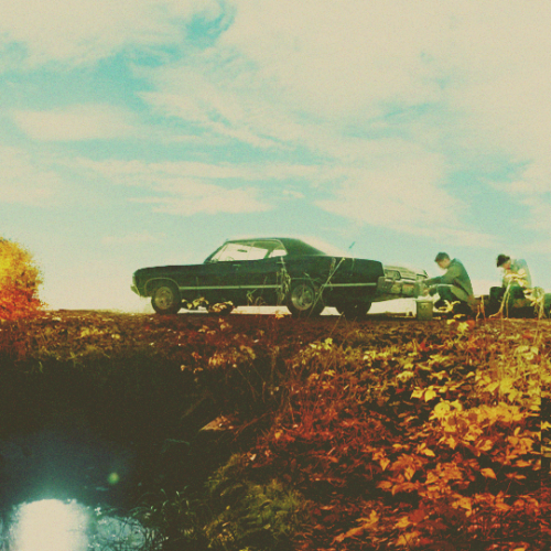 lemondropsonice: S11 Countdown: 35 days or “The one about Autumn scenery” - 4x13