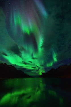 wolverxne:  Northern Lights in Ersfjordbotn by: John