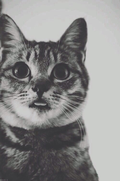 through-the-loooking-glass:  Untitled | via Tumblr on We Heart Ithttp://weheartit.com/entry/109391244/via/jfjsiu
