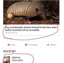 memehumor: Karmadillo