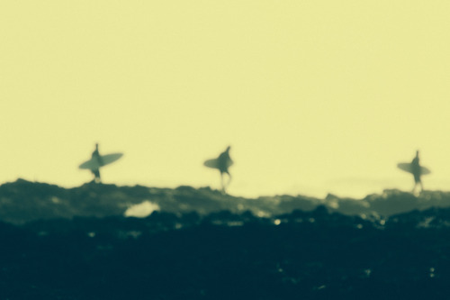 nathan-oldfield: Aotearoa, The Church of the Open Sky.
