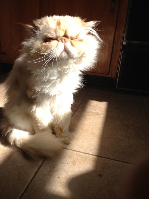 lucifurfluffypants:It’s too early. Turn out the lights. 