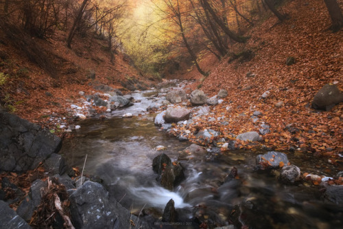 Autumn Tales&hellip; by Dimitar Balyamski