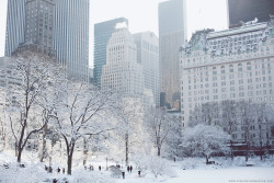 Melodyandviolence:    Winter Wonderland In New York City (2014) By   Carin Olsson