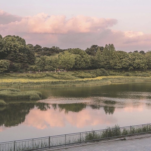water-aesthetics:more water here