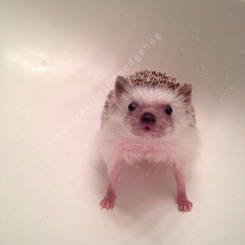 The face of betrayal