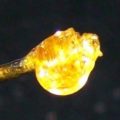 freemarcemerytwitter:  A dab of 707 Headband