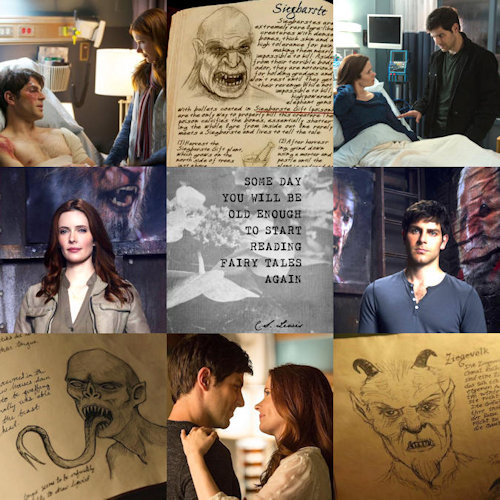 Title: I Want Happily Ever AfterMood Boarder: Caiti (Caitriona_3)Ship: Nick Burkhardt/Juliette Silve