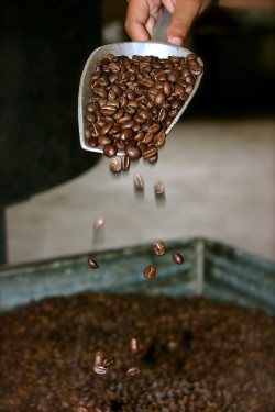 geogain:  Welchez beans by Amanda.Jackson on Flickr. 