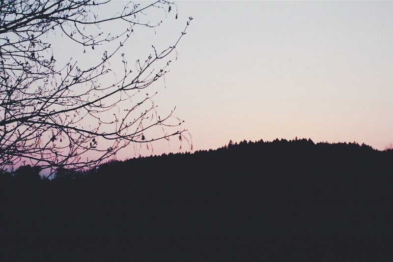 saeureregen:  Wenn das Abendlicht in genau dieser Farbe ist, dann ist ein Loch in