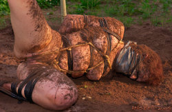 Filthy slut rolling around in the mud.