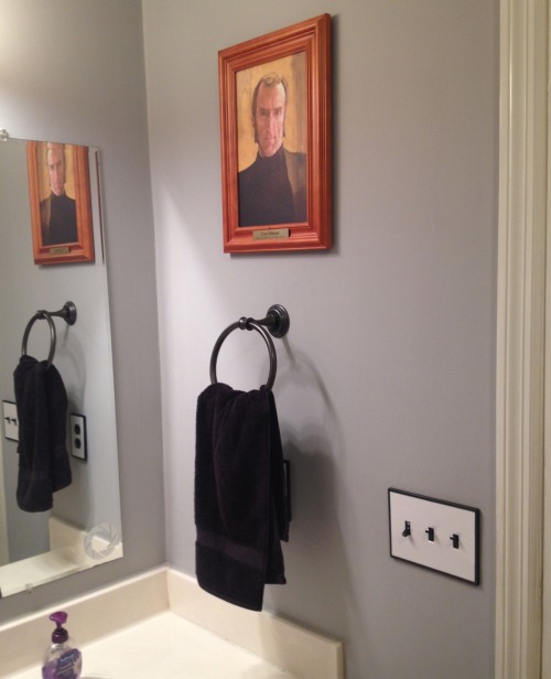 rubitrightintomyeyes: pettankoprincess: lumiguin: vivalassegas: The Portal-themed guest bathroom is 