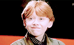 harrypottergif:  Harry Potter meme  [10] Characters - Ronald Weasley  