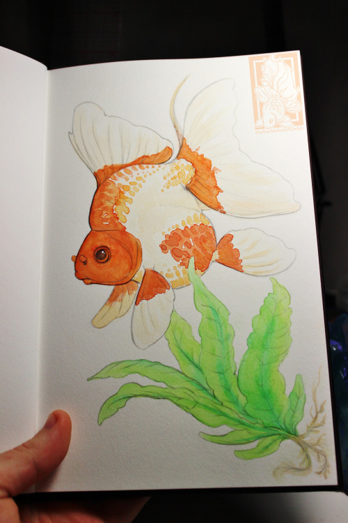 thefrecklebum:  Ryukin and java fern on page 01Someone should write children books about goldfish so