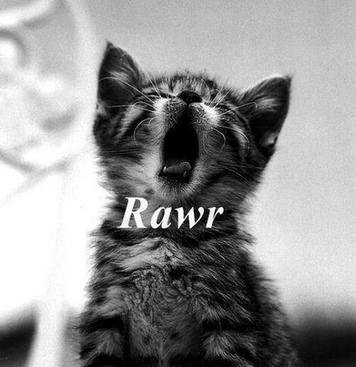 inspirationmatter:  i’m a tiger! | via Tumblr pe We Heart It https://weheartit.com/entry/76743707/via/obliviate_2