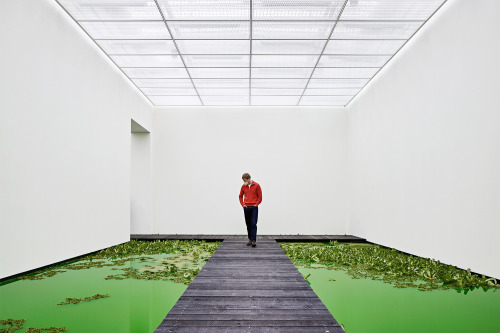 Olafur Eliasson’s Newest Exhibition Floods Fondation Beyeler with a Bright Green Pond Filled with Pl