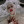givemearmstopraywith:  You remember too much,my mother said to me recently.Why hold