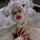 givemearmstopraywith:  You remember too much,my mother said to me recently.Why hold