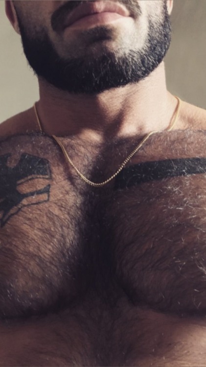 beardburnme:  Francoissagat instagram