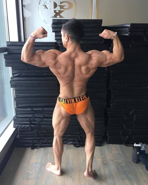 Bodybuilder, Matt Ogus