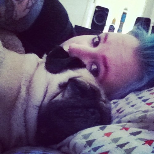 Nothing beats spooning a pug for a little nap #pug #pugsofinstagram #puglife #dyedhair #bluehair #ta