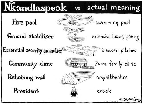 (Cartoons courtesy of Zapiro.com)South Africa’s highest court has ruled that the country&rsquo