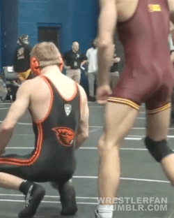 allofthelycra:  wrestlerbulge:More Wrestler Bulges and Singlets HERE :P Follow me for more hot guys in lycra, spandex, and other sports gear