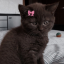 imeowyouuu