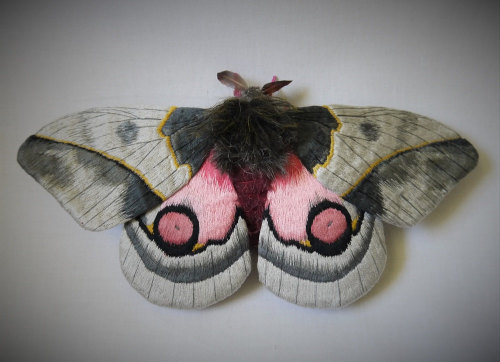 wnq-writers: Textile Moth and Butterfly Sculptures by Yumi Okita North Carolina-based artist Yumi Ok