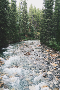 bvddhist:  expressions-of-nature:  by hanlechri