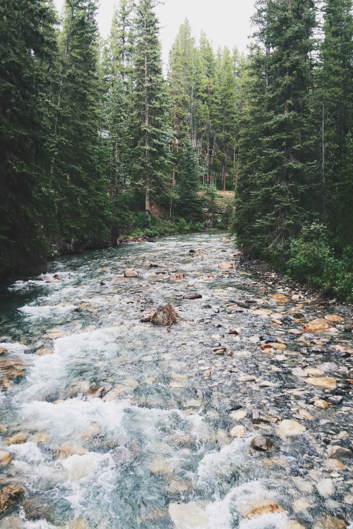 bvddhist:  expressions-of-nature:  by hanlechri Johnston Canyon, AB   +