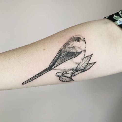 Long tailed tit #tit #tittattoo #tattoo #longtailedtit #longtailedtittattoo #nickwhybrow #thegoodfig