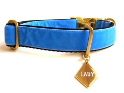 slightlyfoxlike:  Would love to have (and wear) a collar like this, Even though I think I’m more of a fox I always loved Lady is her collar so elegant and loyal