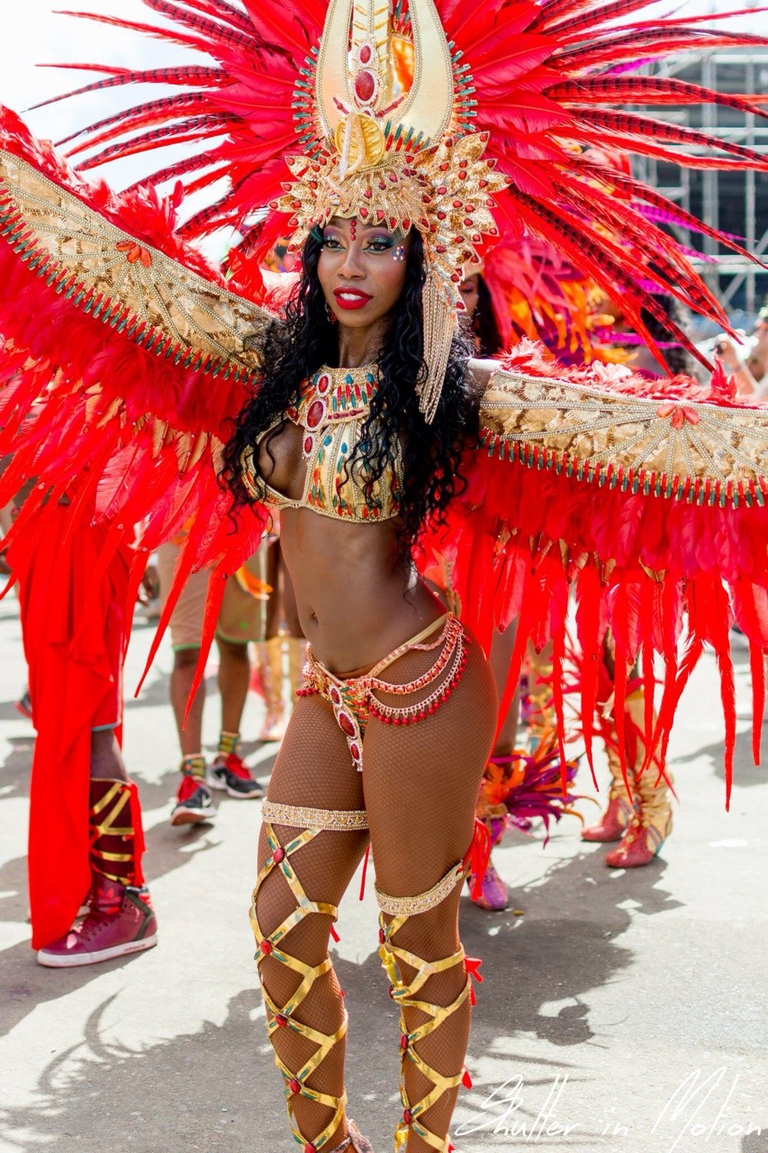 theprojectchocolate:caribbeancivilisation:Trinidad Carnival, 2015  MY beautiful country