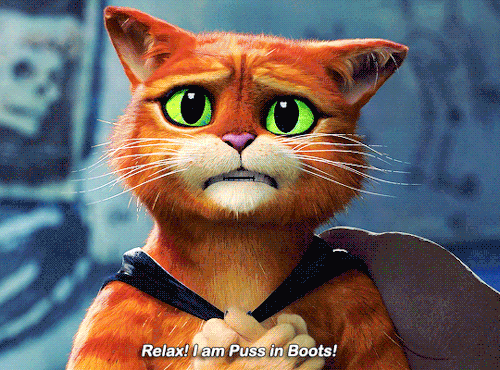 Happy First Anniversary Puss In Boots: The Last Wish!
