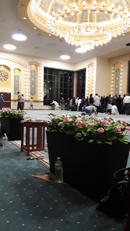 Women and men pray in the same hall, separated by a floral barrier, at MECCA, a suburban Chicago mos
