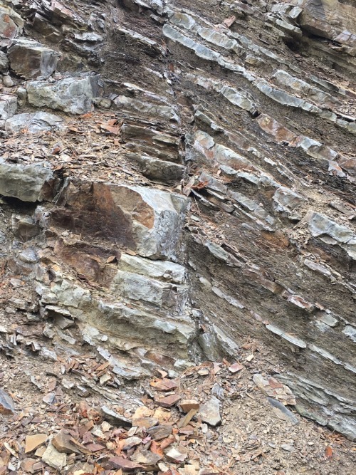 the-tales-of-a-geology-student:Here are some pictures from a recent geology field trip. There’s a bi