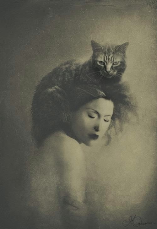 mennyfox55:
“Orlowska .
”