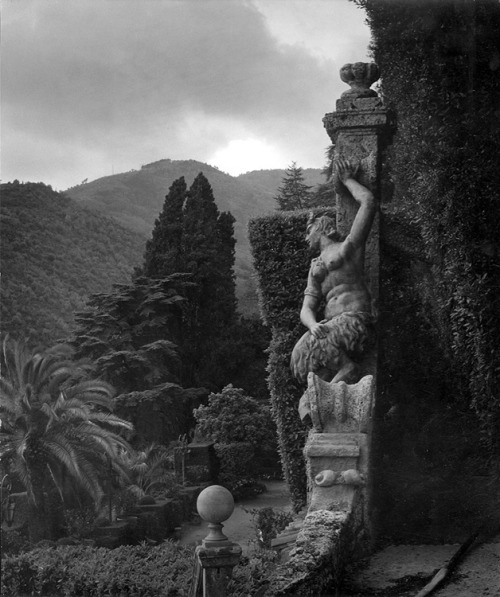 hauntedgardenbook:Edwin Smith (English, 1912-1971). Villa Garzoni, Collodi, Tuscany, 1962. Silver ge