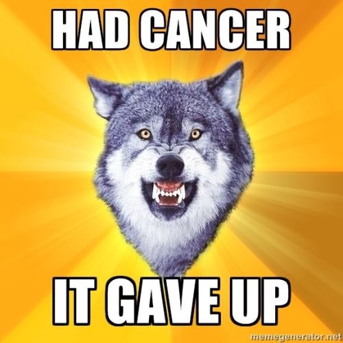 Courage Wolf via Meme Generator