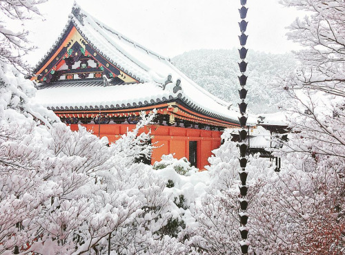 mymodernmet:Heavy Snowfall in Kyoto Turns the City Into a Beautiful Winter Wonderland