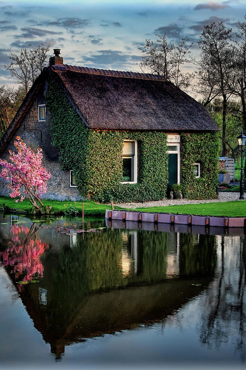 bluepueblo:Ivy House, The Netherlandsphoto via lustaint