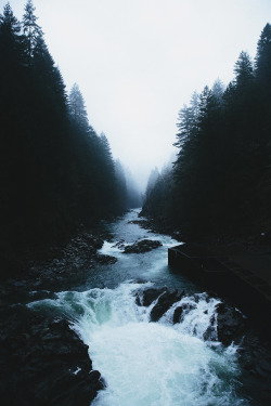 envyavenue:  Foggy Afternoons by Nick Carnera.