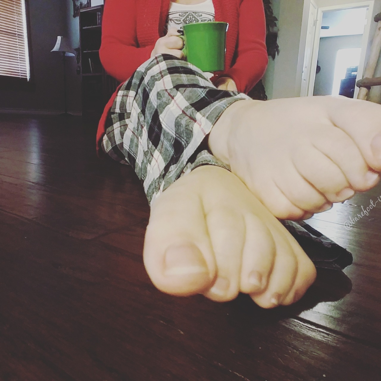barefoot-in-texas:  what are your plans today?