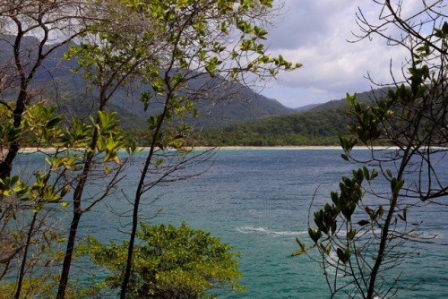 lmkina: • North Coast, Trinidad •