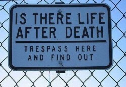 mindblowngoldfish:  Find out.