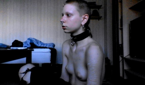 lifehunger:  new collarstufedpenguin look!! ♥   